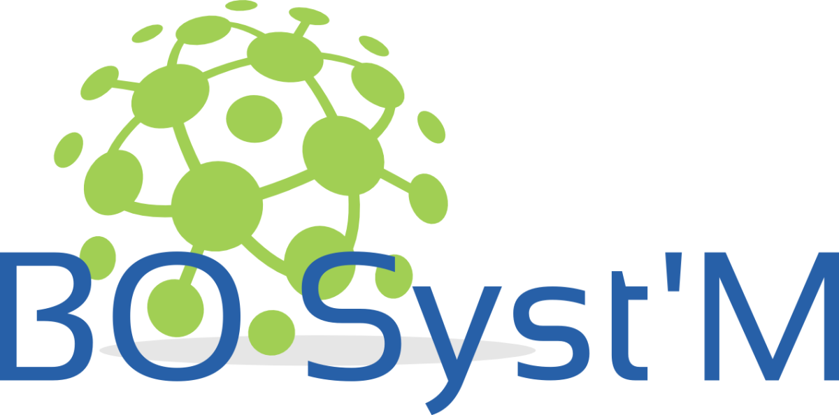 BO Syst'M